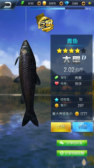 钓鱼王者单机版与QQ百度手机助手下载电脑版官方下载,创意设计与执行的无界之旅